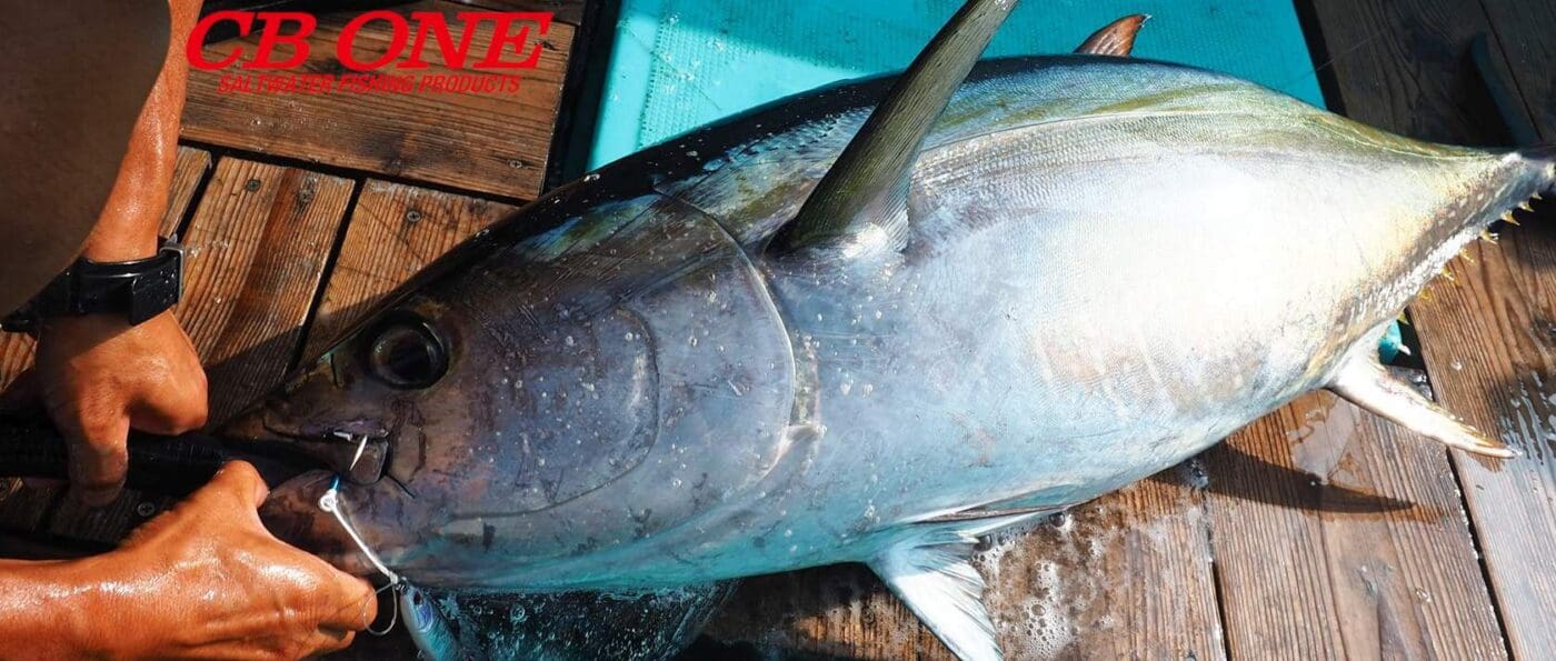 CB One Lures 🎣